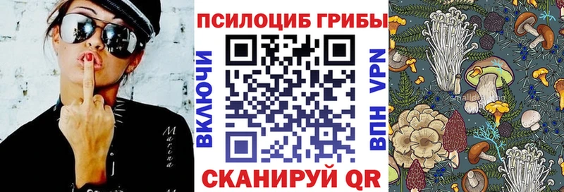 Галлюциногенные грибы Psilocybe  Керчь 