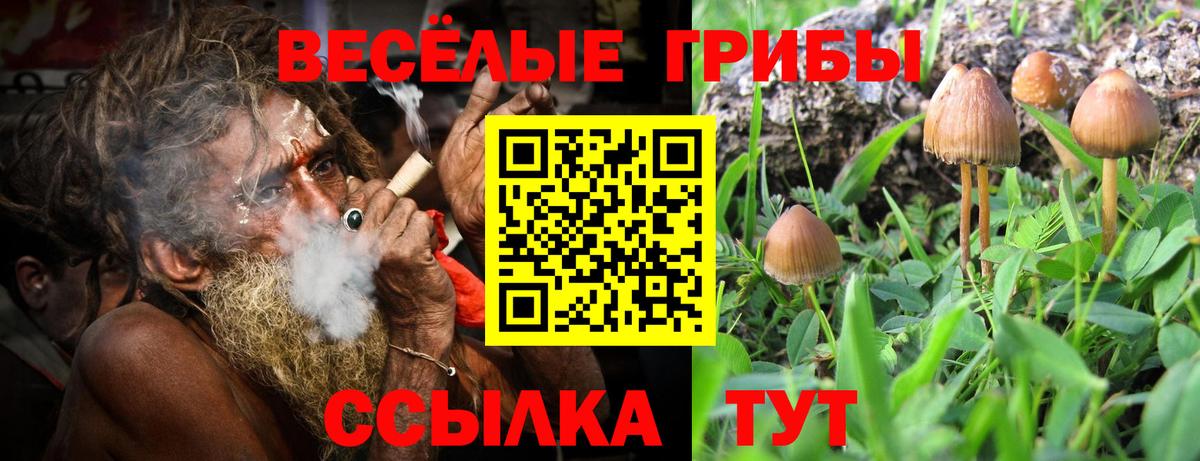 Галлюциногенные грибы Psilocybe  Вход с VPN  Псилоцибиновые грибы ЛСД  Керчь 